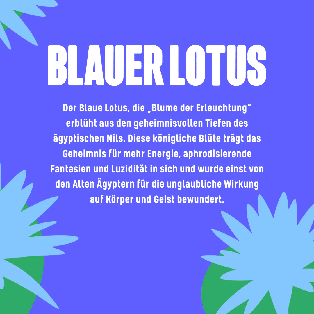 Blauer Lotus Tinktur 🪷 - Image 3