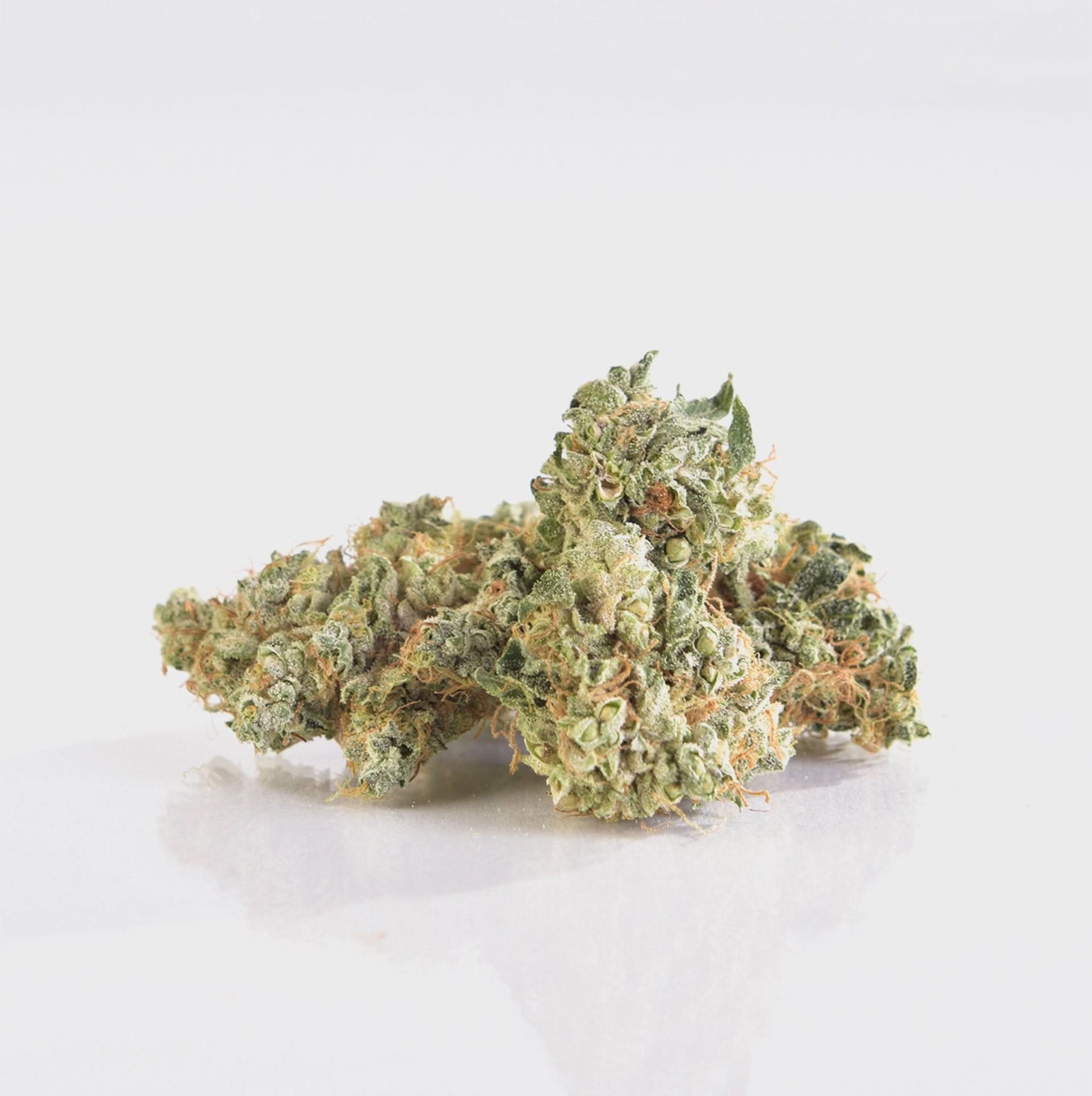 🩺 Doctor White 14% CBG