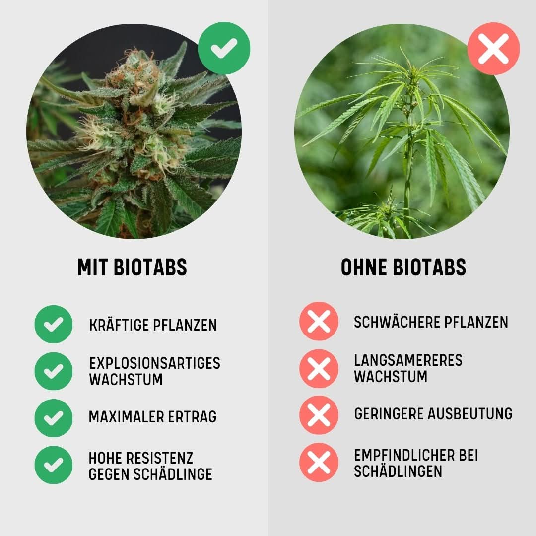 Grow Starter Kit / Dünger + 3*3 Samen - Image 6