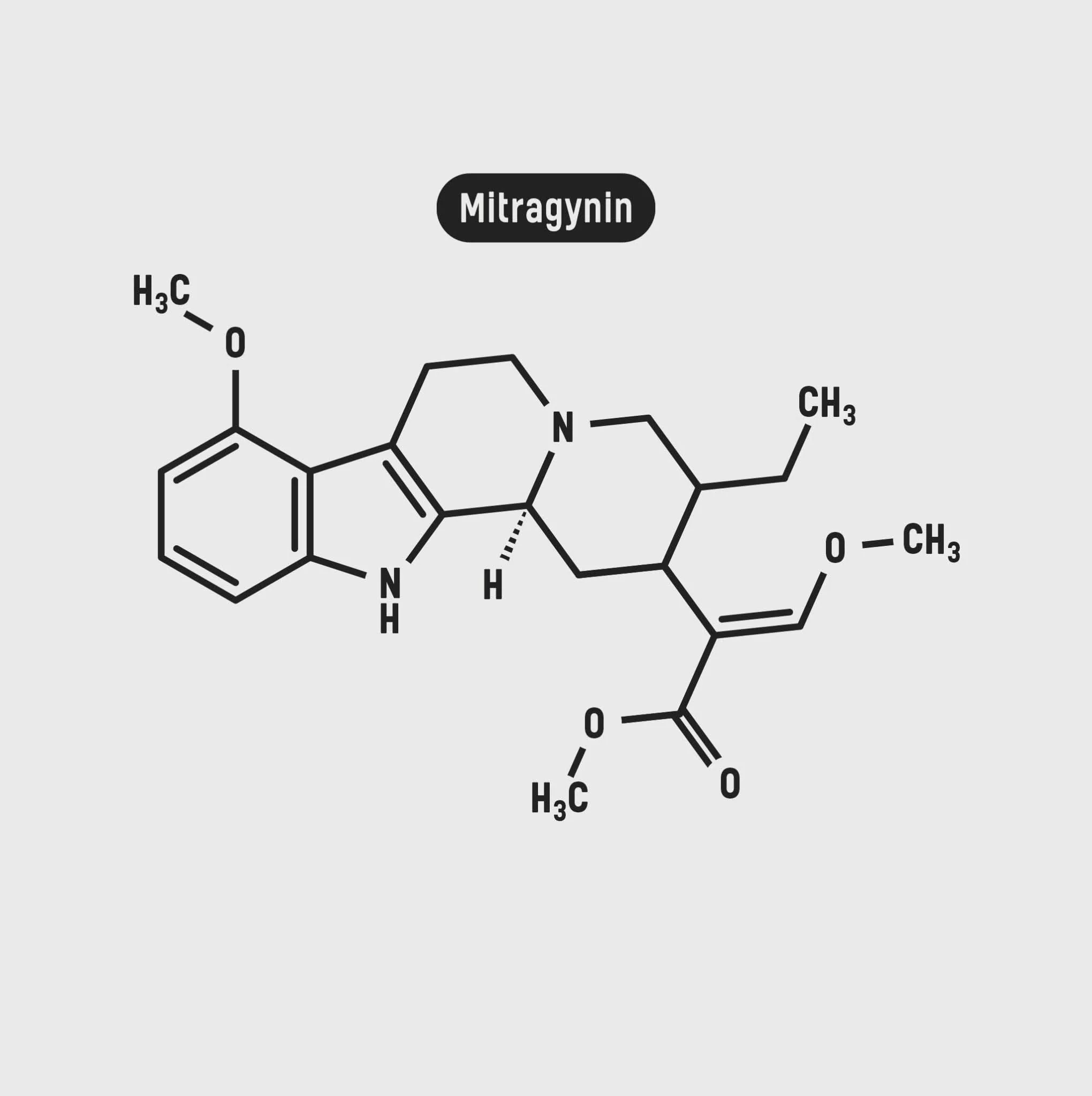 Kratom Red Borneo - Image 5