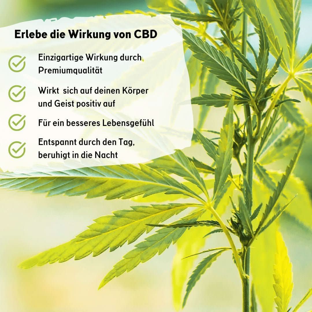 🏆 CBD Naturextrakt PREMIUM Öl 5% - Image 3